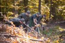 Rozpoczęły się praktyki zawodowe w Technikum Leśnym w Lesku