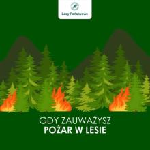 Rośnie zagrożenie pożarowe w lasach regionu